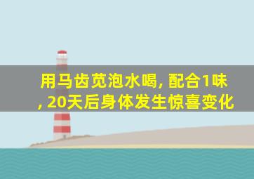 用马齿苋泡水喝, 配合1味, 20天后身体发生惊喜变化